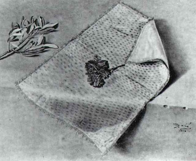 1950_24_carnation and cloth of gold 1950.jpg